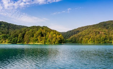 Plitvice lakes in Croatia, beautiful summer landscape with turquoise water