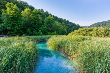 Plitvice lakes in Croatia, beautiful summer landscape with turquoise water