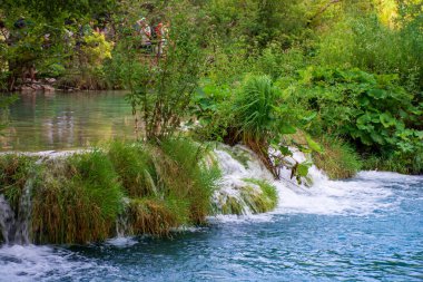 Plitvice lakes in Croatia, beautiful summer landscape with waterfalls