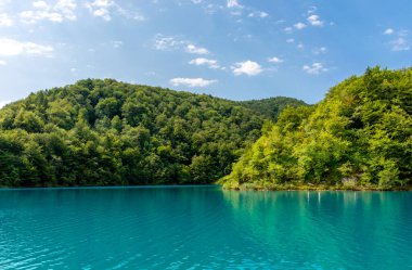 Plitvice lakes in Croatia, beautiful summer landscape with turquoise water