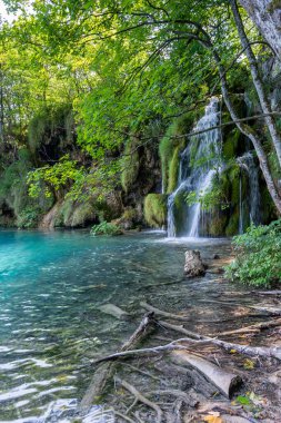 Plitvice lakes in Croatia, beautiful summer landscape with waterfalls