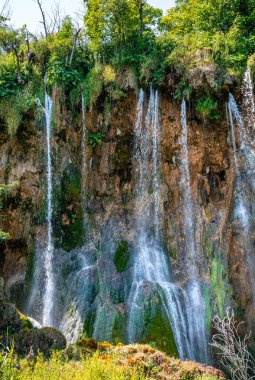 Plitvice lakes in Croatia, beautiful summer landscape with waterfalls