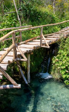 Plitvice lakes in Croatia, beautiful summer landscape with turquoise water