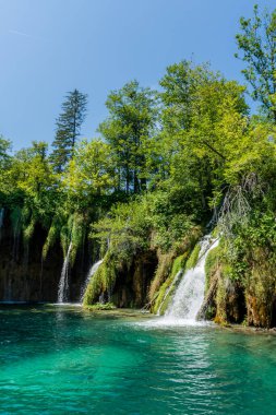 Plitvice lakes in Croatia, beautiful summer landscape with waterfalls
