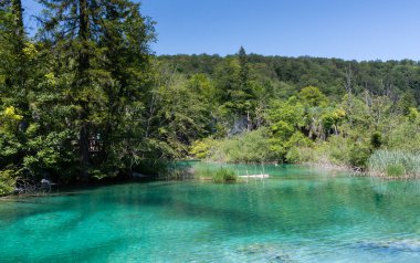 Plitvice lakes in Croatia, beautiful summer landscape with turquoise water