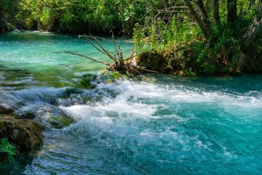 Plitvice lakes in Croatia, beautiful summer landscape with waterfalls