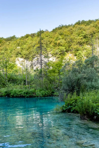 Plitvice Lakes Croatia Beautiful Summer Landscape Turquoise Water — Fotografia de Stock