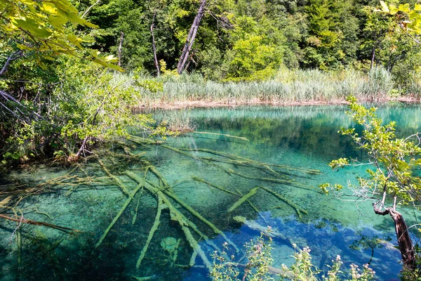 Plitvice Lakes Croatia Beautiful Summer Landscape Turquoise Water — Photo
