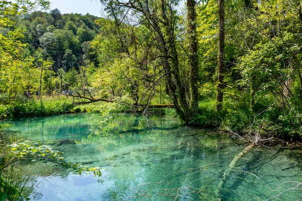Plitvice Lakes Croatia Beautiful Summer Landscape Turquoise Water — Fotografia de Stock