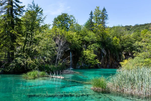 Plitvice Lakes Croatia Beautiful Summer Landscape Turquoise Water — Fotografia de Stock