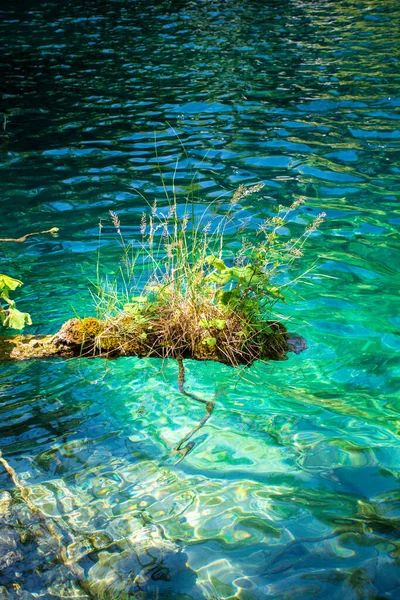 Plitvice Lakes Croatia Beautiful Summer Landscape Turquoise Water — Fotografia de Stock