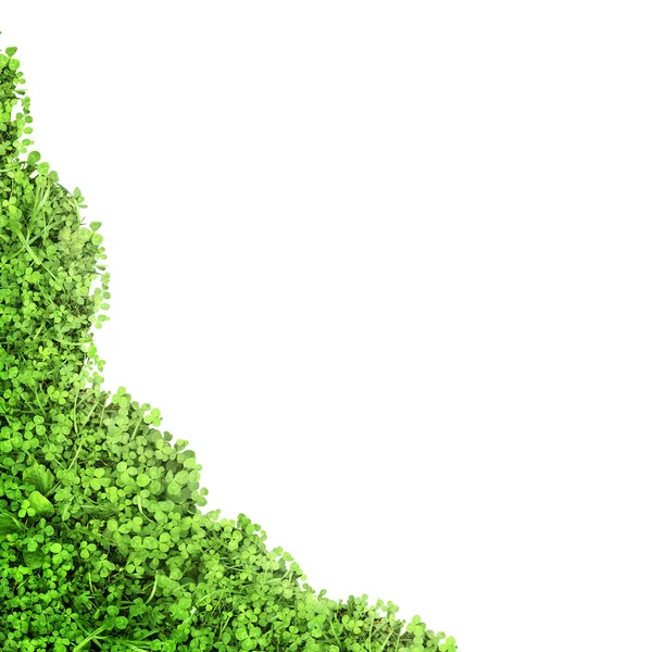 Rama zielony soczysty trawy na białym tle, na białym tle — Zdjęcie stockowe