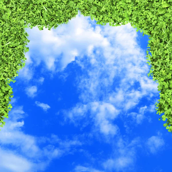 Frame of the green juicy grass on a background of blue sky — Stock Photo, Image