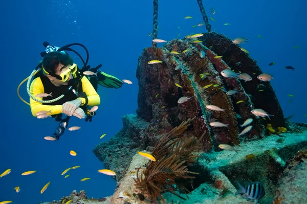 Plongeuse explorant une épave Image En Vente