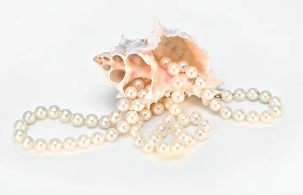 Perlen und Muscheln — Stockfoto