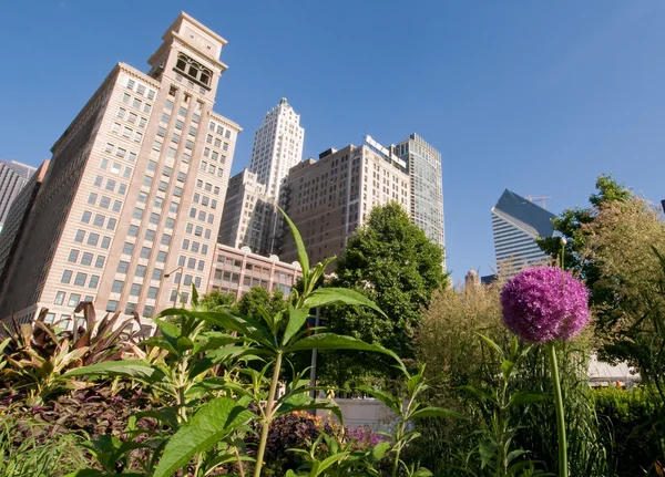 Stad en tuin — Stockfoto