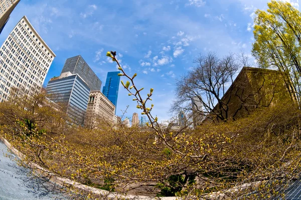 Avenida Michigan — Foto de Stock