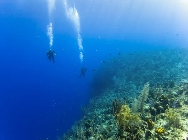 Buceo sobre un abismo de 6000 pies — Foto de Stock