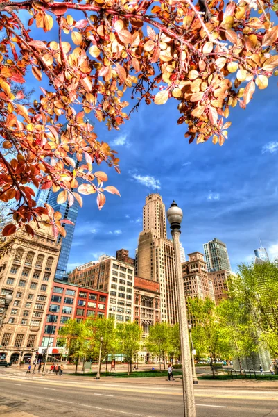 Michigan Avenue, Chicago