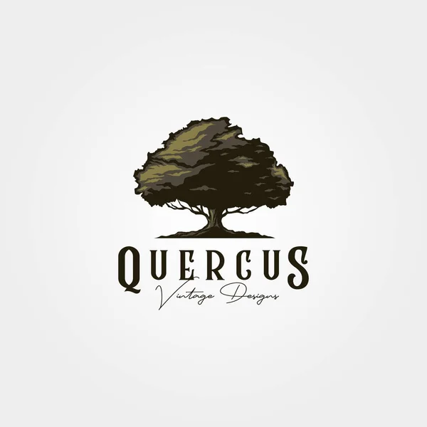 Vintage Quercia Logo Vettoriale Illustrazione Design — Vettoriale Stock