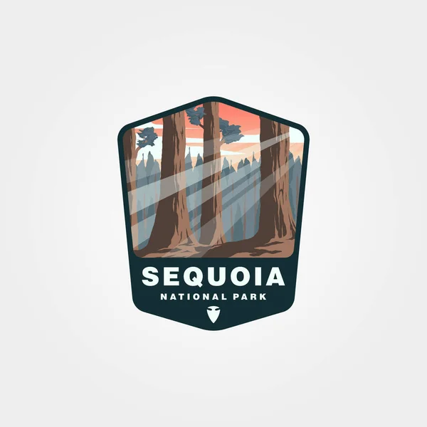 Diseño Parche Vector Parque Nacional Sequoia Diseño Logotipo Árbol Gigante — Archivo Imágenes Vectoriales