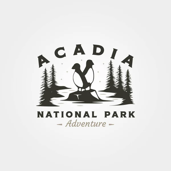 Національний Парк Академії Вінтажний Логотип Векторний Дизайн Ілюстрації Пуф Кам — стоковий вектор