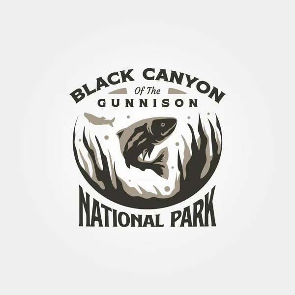 Schwarz Canyon Vintage Logo Vektor Symbol Illustration Design Uns Nationalpark — Stockvektor