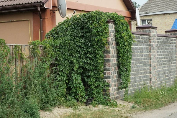 Parte Tijolo Cinza Muro Vedação Madeira Coberto Com Vegetação Verde — Fotografia de Stock