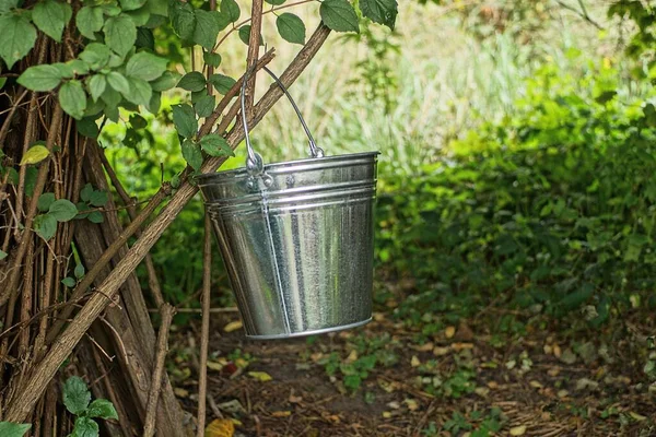 Grå Galvaniserad Metallhink Hänger Bruna Grenar Buske Med Gröna Blad — Stockfoto