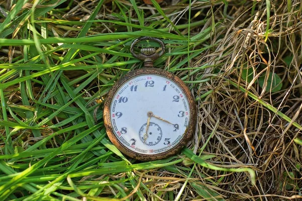 Een Oud Zakhorloge Ligt Groen Gras Natuur — Stockfoto