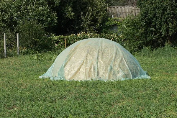 One Large Haystack Covered Gray Plastic Tent Summer Garden Green — Stock Photo, Image