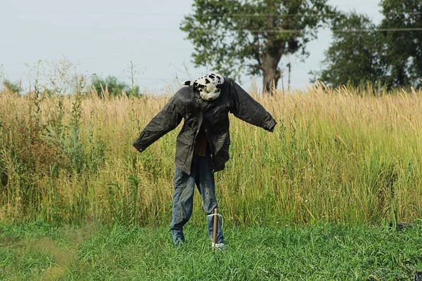 Épouvantail Oiseau Noir Tient Dans Herbe Verte Végétation Dans Champ — Photo