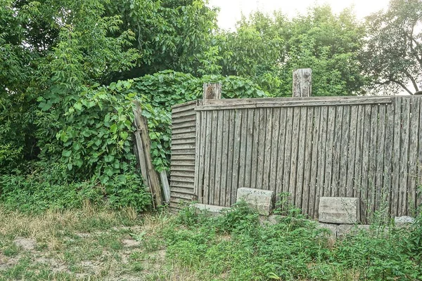 Γκρι Παλιό Ξύλινο Τοίχο Φράχτη Μια Σπασμένη Πόρτα Κατάφυτη Πράσινη — Φωτογραφία Αρχείου