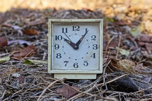 Eski Bir Beyaz Kare Alarm Saati Doğadaki Gri Kuru Bitki — Stok fotoğraf
