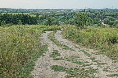 Yeşil çimen ve bitki örtüsünün arasında, bir yaz tarlasında gri kum yolu
