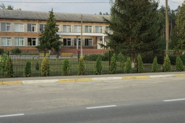 Bir sıra küçük yeşil kozalaklı ağaçlar, gri asfalt bir yolun kenarındaki metal ağ çitleri boyunca büyür.