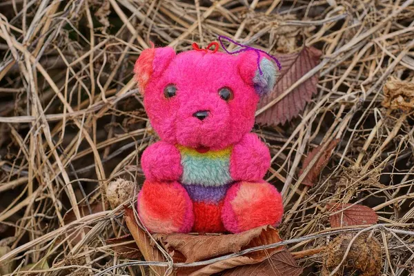 Один Красный Плюшевый Игрушечный Медведь Стоит Серой Растительности Опавших Листьях — стоковое фото