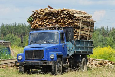 Büyük bir kamyonun mavi bir taksisi ve odun yığınları sokaktaki çimlerin üzerinde duruyor.