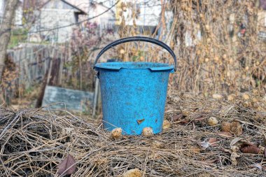 Mavi, eski, kirli, plastik bir kova dışarıdaki gri, kuru bitkilerin üzerinde duruyor.