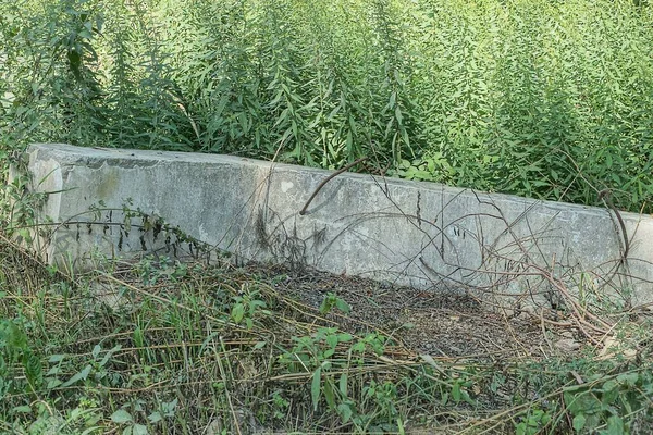 Część Starej Szarej Betonowej Płyty Fundamentowej Porośniętej Zieloną Trawą Ulicy — Zdjęcie stockowe