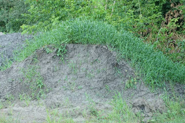 Gros Tas Sable Gris Recouvert Herbe Verte Dans Rue — Photo