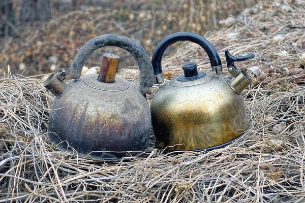 Два Старых Грязных Металлических Чайника Стоят Сырых Сухих Ветвей Растений — стоковое фото