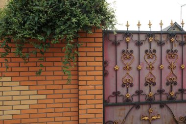 Kırmızı metal bir kapının bir kısmı sahte desenli ve yeşil bitkilerle çevrili bir duvar.