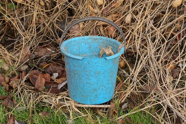 Ένα Μπλε Παλιό Βρώμικο Πλαστικό Κουβά Στέκεται Γκρι Πράσινη Βλάστηση — Φωτογραφία Αρχείου