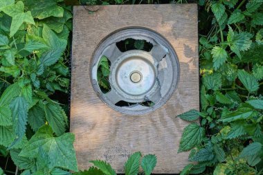 Büyük, yuvarlak, gri bir metal hoparlör. Kahverengi bir tahta üzerinde. Doğadaki bitkilerin yeşil yapraklarında. 