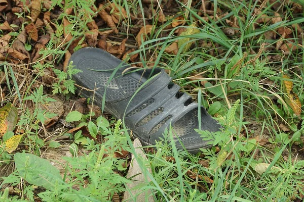 One Black Rubber Dirty Sandal Lies Green Grass Outdoors Nature — Fotografia de Stock
