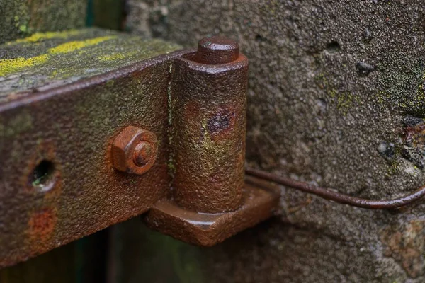 One Old Wet Brown Iron Rusty Door Hinge Wooden Door — Fotografia de Stock