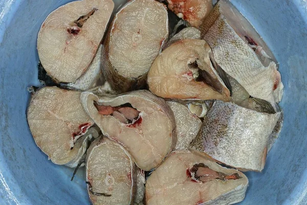 Eating Gray Large Pieces Sea Fish Pollock Lies Blue Bowl — Stock Photo, Image