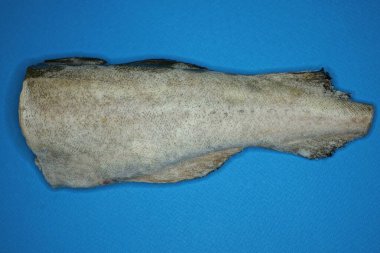 Bir gri çiğ donmuş deniz balığı parçası mavi bir masada yatıyor.