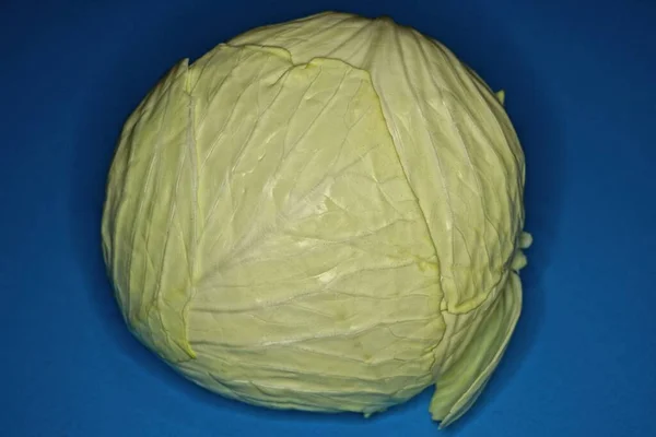 One Big Head Fresh Green Cabbage Lies Blue Table —  Fotos de Stock